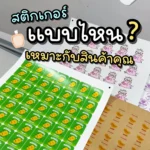 เปรียบเทียบวัสดุสติกเกอร์แต่ละแบบสำหรับฉลากสินค้า